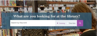 Search box of an online library catalog.