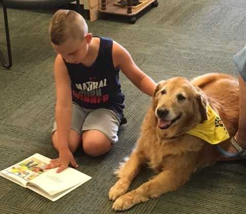 Are Dogs the New Library Cat? Are Dogs the New Library Cat?