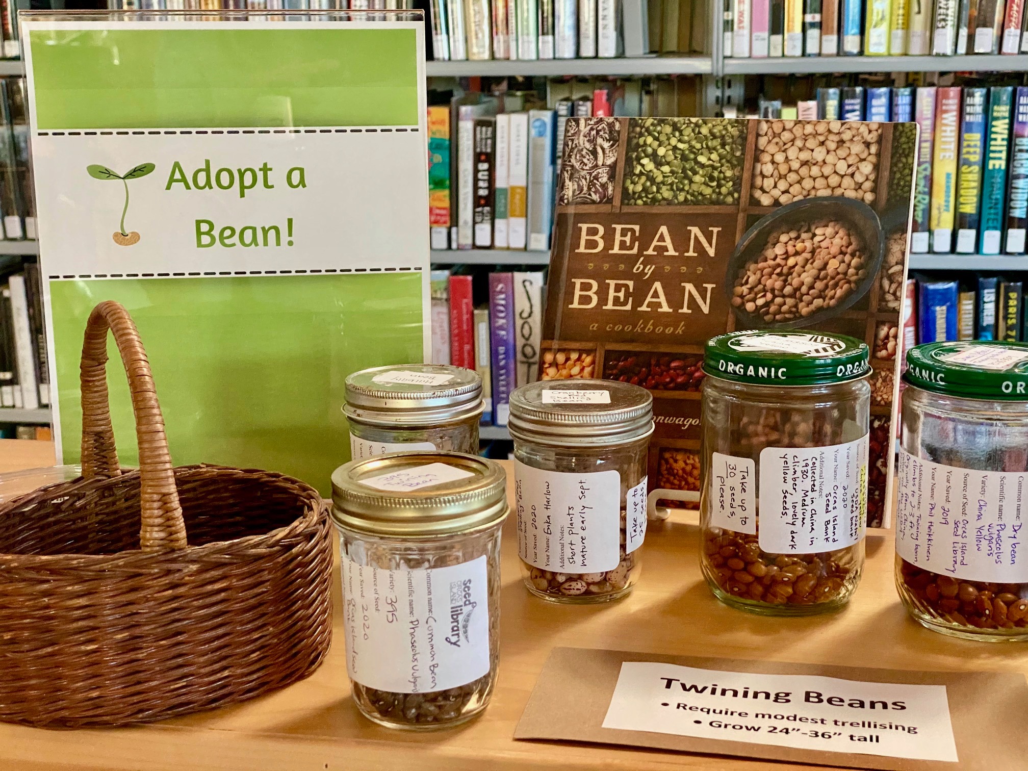 Adopt-a-Bean display at Orcas Island Public Library