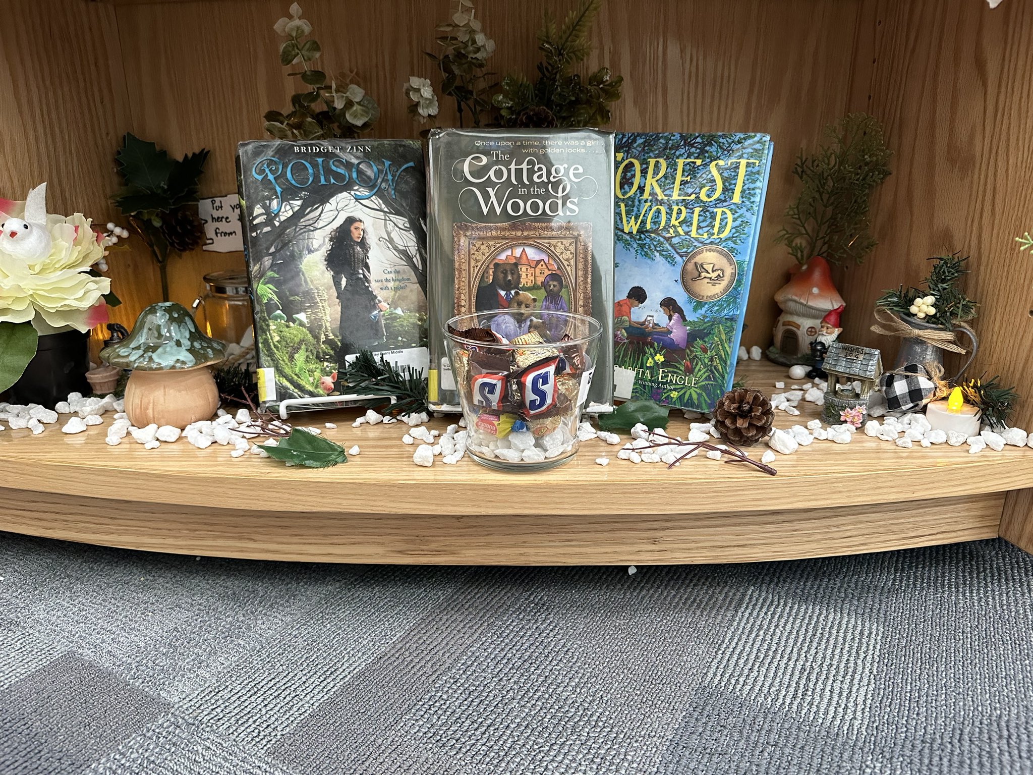 Cottagecore book display