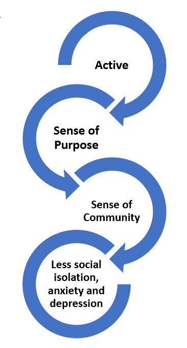 vertical four part cycle including the following parts: Active, sense of purpose, sense of community, and less social isolation, anxiety, and depression