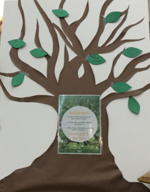 wish-tree Wish Tree