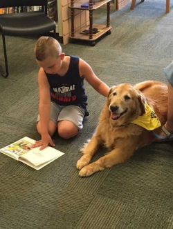 dogs-in-libraries Child reading with a gold retriever