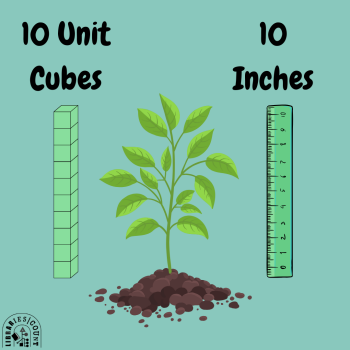 A seedling between a stack of 10 unit cubes and a 10-inch ruler, both matching the plant’s height.