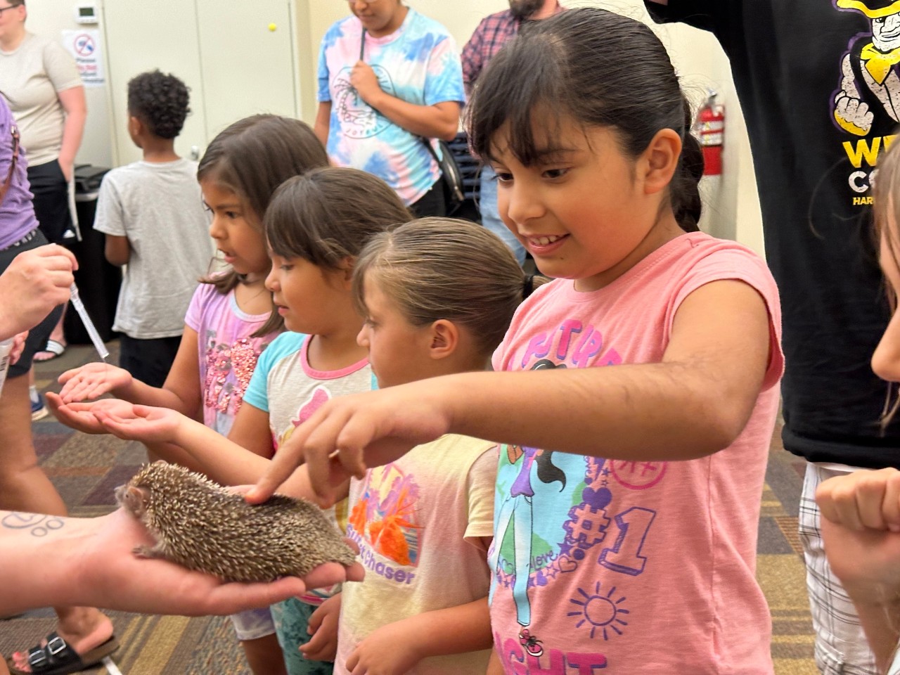 Abilene-hedgehog